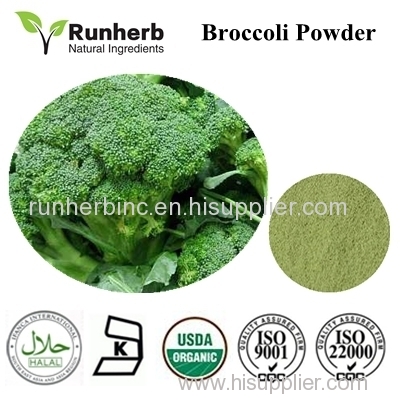 Broccoli Powder Broccoli Extract