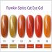 3D Cat Eye Soak Off Nail Gel Polish UV Gel Pumpkin Series Healthy Manicure