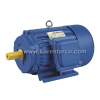 KOREPOWER Y Series Three Phase Asynchronous AC Electric Induction Motor