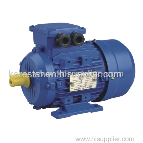 MS Series Three Phase Induction Motor