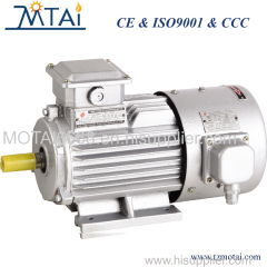 YVF2 Series Converter-Fed Variable Frequency Three-Phase Asynchronous Motor