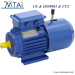 YEJ Series Electromagnetic Brake Asynchronous Motor