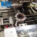 Automatic BLDC double working stations Burshless motor stator needle winding machine