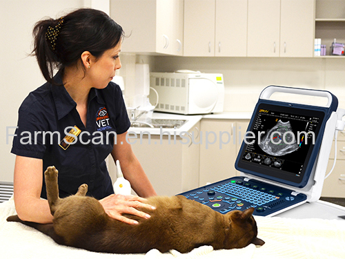 Vet Portable Color Doppler Veterinary Ultrasound Scanner
