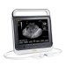 Compact Pad Touch B mode Veterinary Ultrasound Scanner