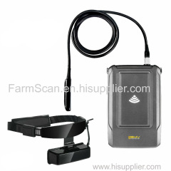 Equine pregnancy diagnosis HD Goggles Bovine Ultrasound