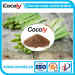 Cocoly organic fertilizer water soluble