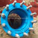 ANSI Standard double flange carbon steel dismantling joint