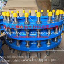 double flange dismantling joint