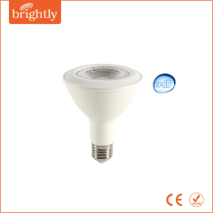 IP65 LED PAR30 Lamp 10W E27 Base LED Spot Light