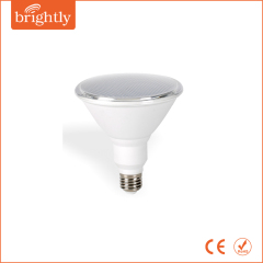 IP54 10W Plastic LED PAR38