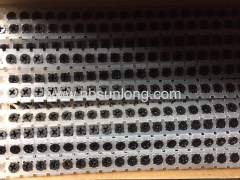 Collated strip drywall screw