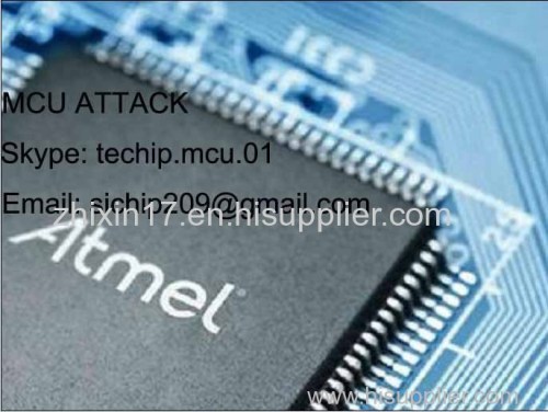 chip decryption mcu reverse