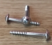 Self tapping screw - stainless steel - cross phillips head with flange