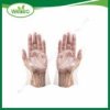 Pe Glove/ Disposable Pe Gloves