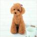 wool felt toys products 07