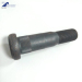 Round head square neck high strength bolts in black