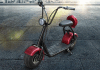 10 inch fat tire 500w citycoco electric scooter