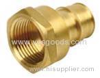 Brass plug PEX fitting