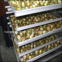 multifactional flower/Chinese medecine/food/vegetable/fruit freeze dryer for sale