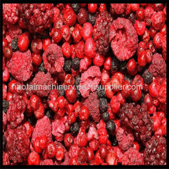 low price fruit freeze dryer machine