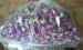 multifactional flower/Chinese medecine/food/vegetable/fruit freeze dryer for sale