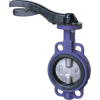 without pin butterfly valve
