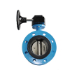 Flange butterfly valve with worm gear
