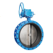 Flange butterfly valve with worm gear