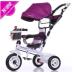 360 degree rotation children trike