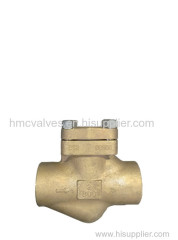 DIN/API Cast Steel Check Valve