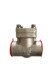 DIN/API Cast Steel Check Valve