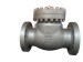 DIN/API Cast Steel Check Valve