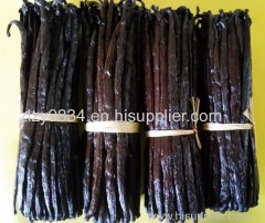 Higth Quality dried vanilla beans