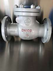 stainless steel swing check valve