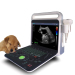 Pet or Veterinary multi-purpose color ultrasonic diagnostic instrument specially designed for high-end pet hospitals.
