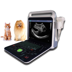 Pet or Veterinary Portable Full Digital Color Doppler Ultrasound Diagnostic System