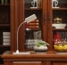 euroliteLED LED Desk Lamp with 360 degree Rotatable Head