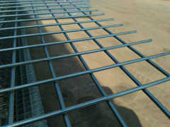 Electro Galvanized Welded Mesh Panel