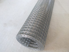 Hot Dipped Galvanized Welded Wire Mesh