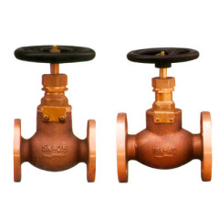 Bronze Globe Valve