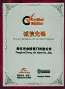 Pioneer Alibaba.com Certified Supplier