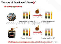 Cocoly foliar fertilizer with 100% water solubility