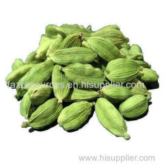 Green cardamom and other spices and herbs