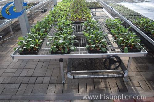 Seedbed Galvanized Welded Wire Mesh for flower