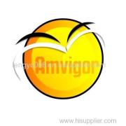 Amvigor Intl Limited