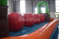 Course Adult Wipeout Big Balls Inflatable Obstacle Game