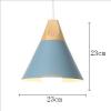 euroliteLED Single-Head LED Chandelier Nordic Modern Simplicity Pendant Lamp Hanging Wire 120cm Freely Adjustable