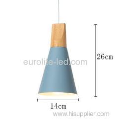 euroliteLED 9W Single-Head LED Chandelier Nordic Modern Simplicity Pendant Lamp Hanging Wire