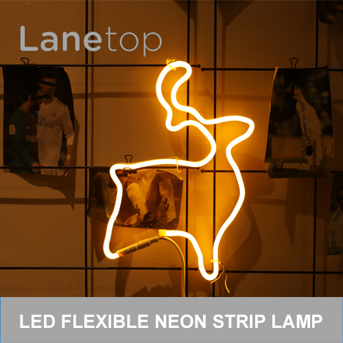 Formable Flexible Home Decoration 5V Neon Strip Lights